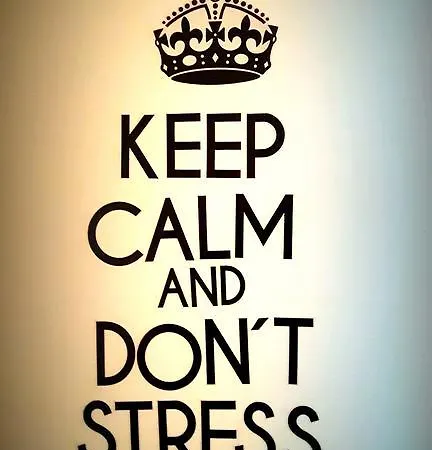 Vandrerhjem Puzzle - Jezyce *