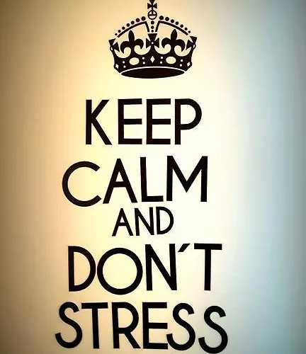 Auberge de jeunesse Puzzle - Jezyce *