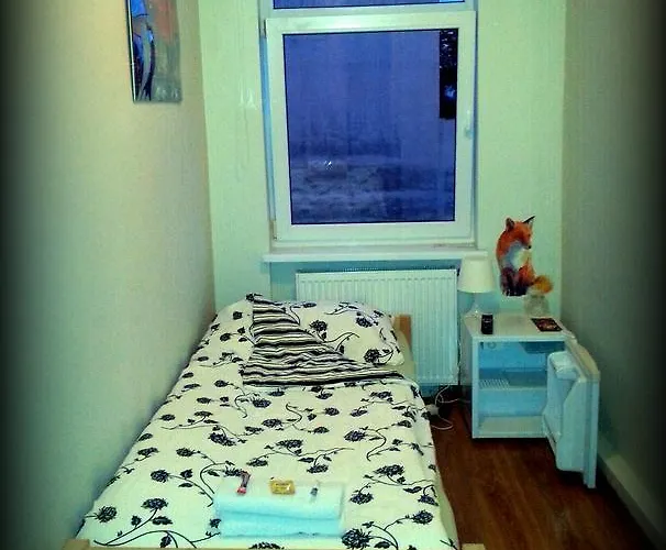 Puzzle - Jezyce Auberge de jeunesse