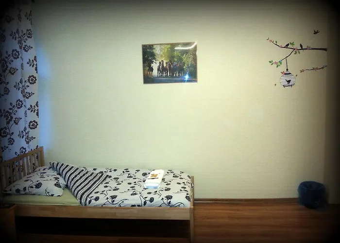 Auberge de jeunesse Puzzle - Jezyce