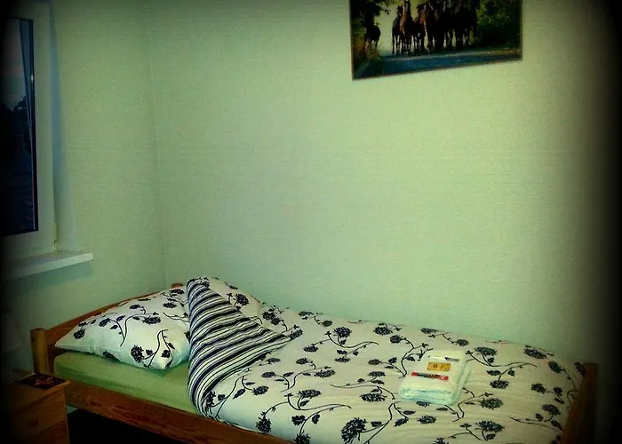 Puzzle - Jezyce אכסניה פוזנן