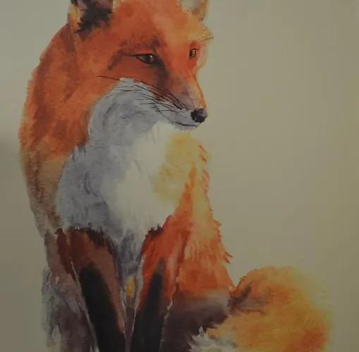 אכסניה Puzzle - Jezyce *